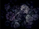 Opulent Moody Night Garden Floral