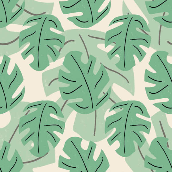 Tropical monstera leaves beige