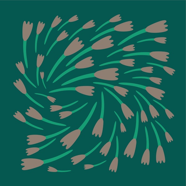 Turning flowers in dark forest green grass