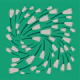 Emerald green turning flowers grey tulips