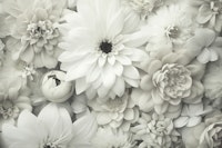 White Blossom Cascade Floral Beauty ταπετσαρία