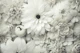 White Blossom Cascade Floral Beauty