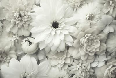 Τοιχογραφία