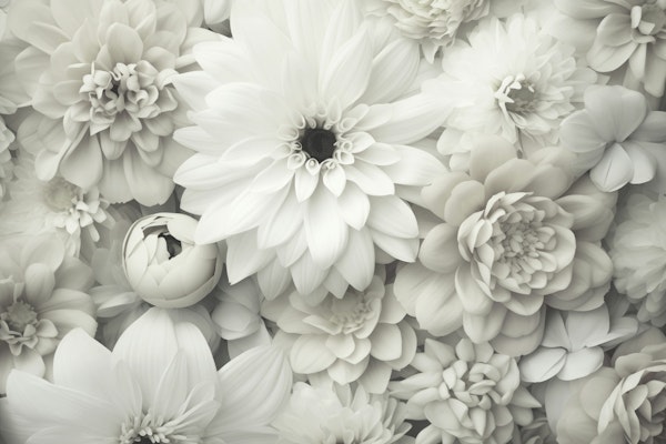 White Blossom Cascade Floral Beauty