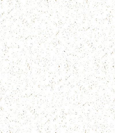 Modello