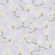 Magnolia Delight