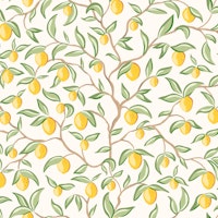 Lemon tree branches papiers peint