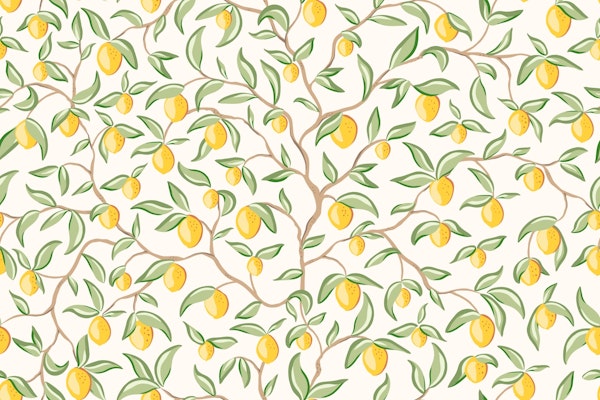 Lemon tree branches