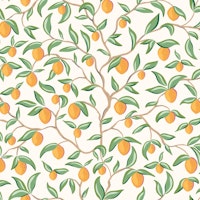 Orange tree branches papiers peint