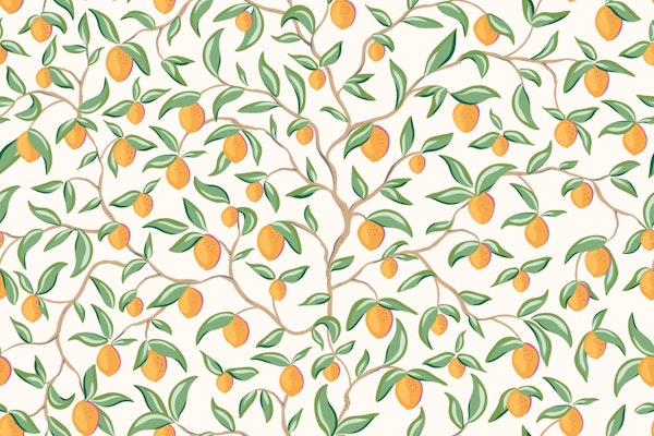 Orange tree branches