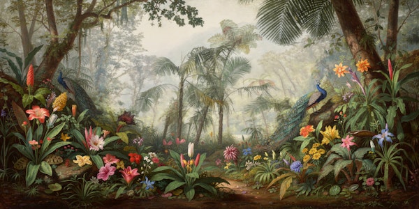 Misty Moody Jungle