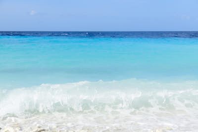 Τοιχογραφία