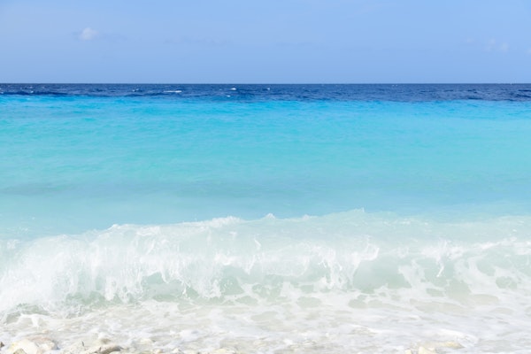 Caribbean Sea Bliss 1