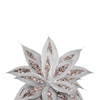 Gray Agave Glitter 3 ταπετσαρία