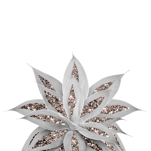 Gray Agave Glitter 3