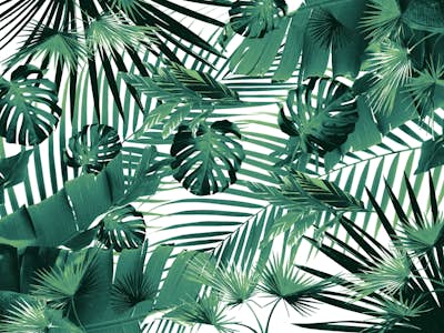 Τοιχογραφία