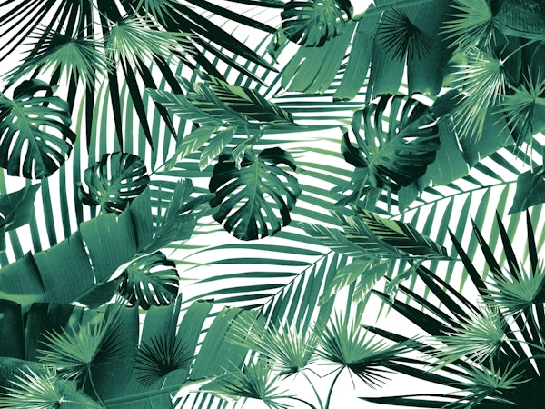 Jungle Leaves Siesta 5