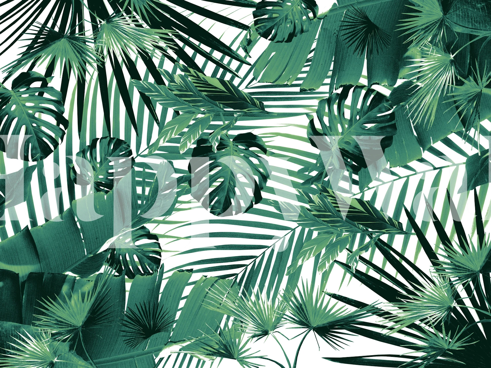 Żywa fototapeta z liśćmi dżungli w różnych odcieniach zieleni, tworząca tropikalny klimat.