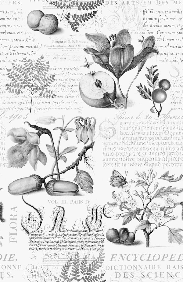 Botanical Treasures Joris Hoefnagel