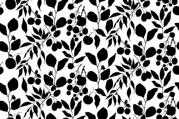 Fruit And Foliage Black And White
