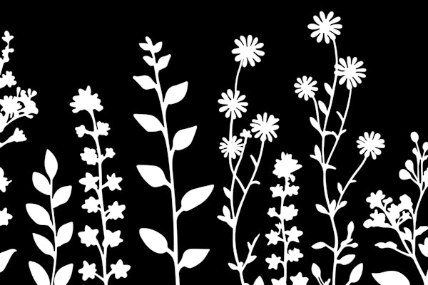 Minimalistic Wildflower Meadow Black White
