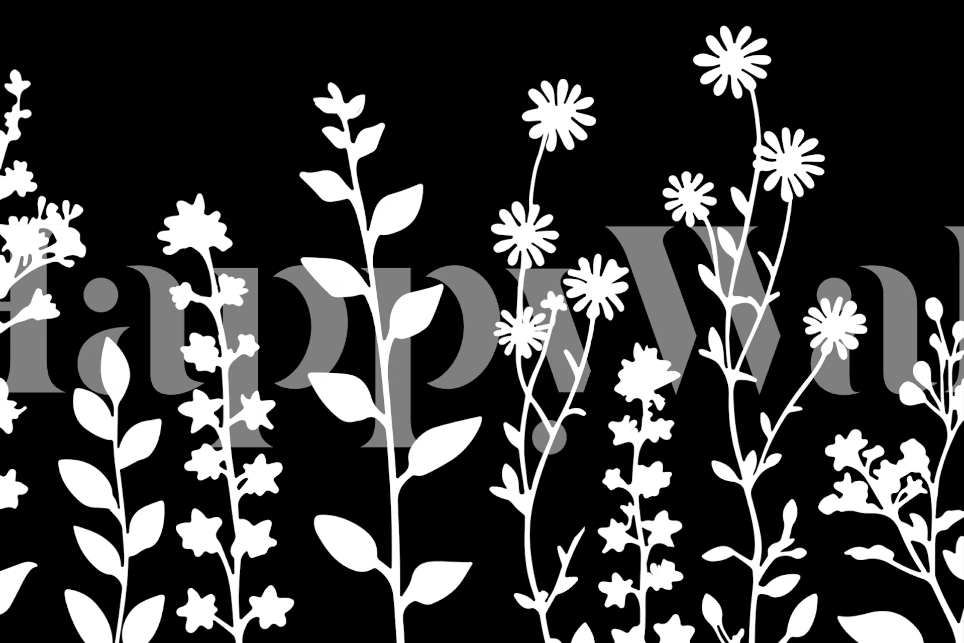 Minimalistic Wildflower Meadow schwarz-weiß Tapete
