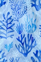 Down By The Sea Underwater Magic tapety