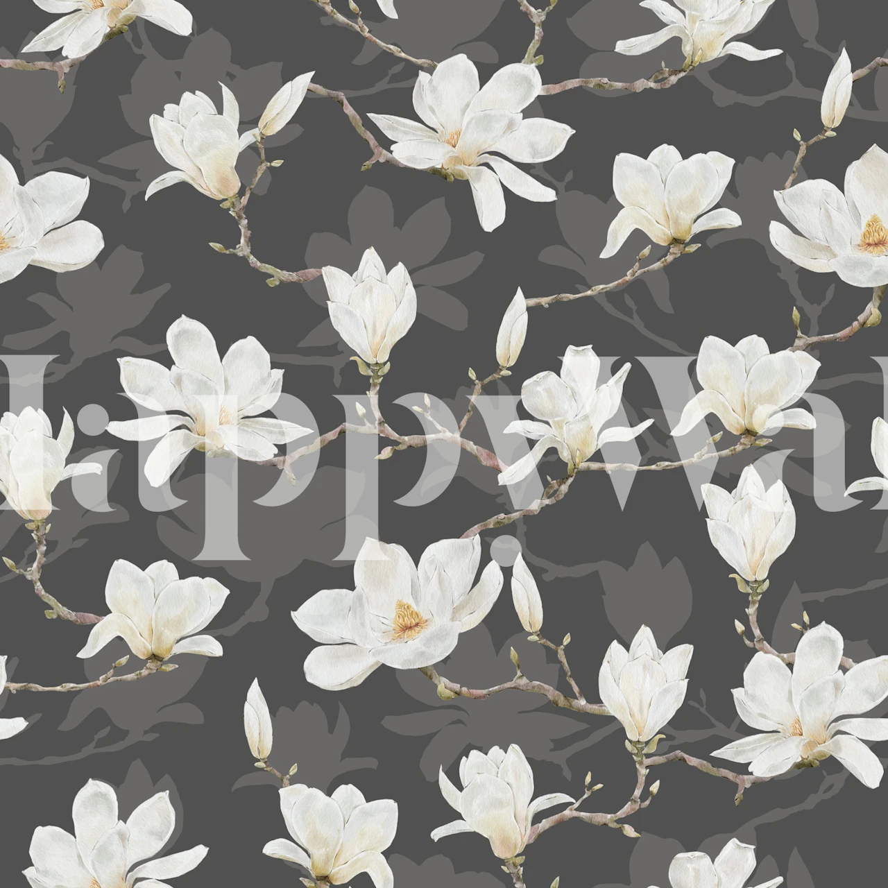 White magnolias on gray background floral wallpaper