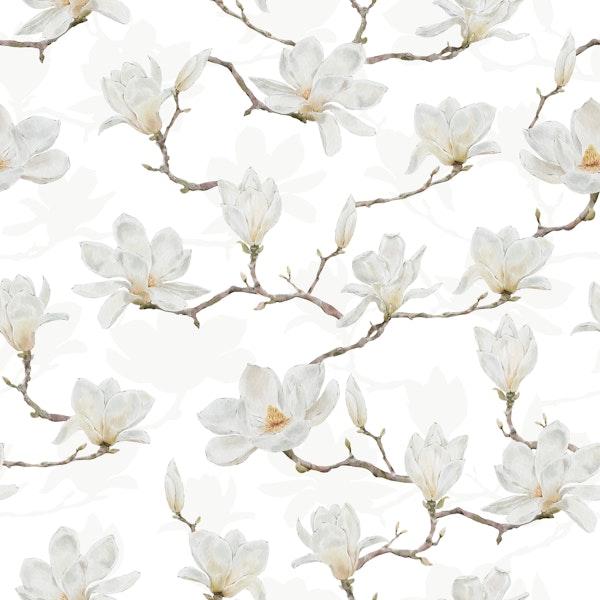 Magnolia Spring Wallpaper