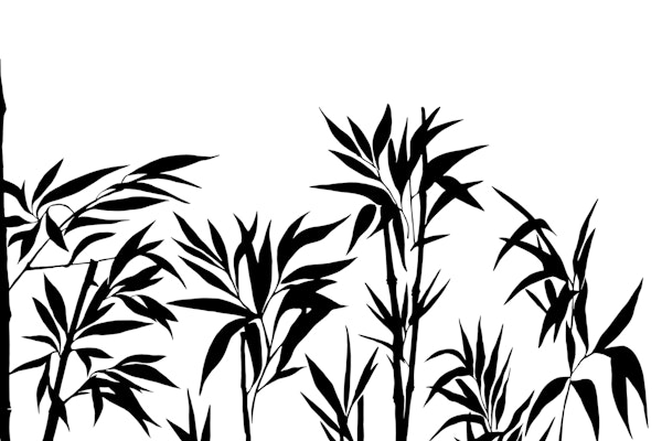 Zen Bamboo Tranquility Black On White