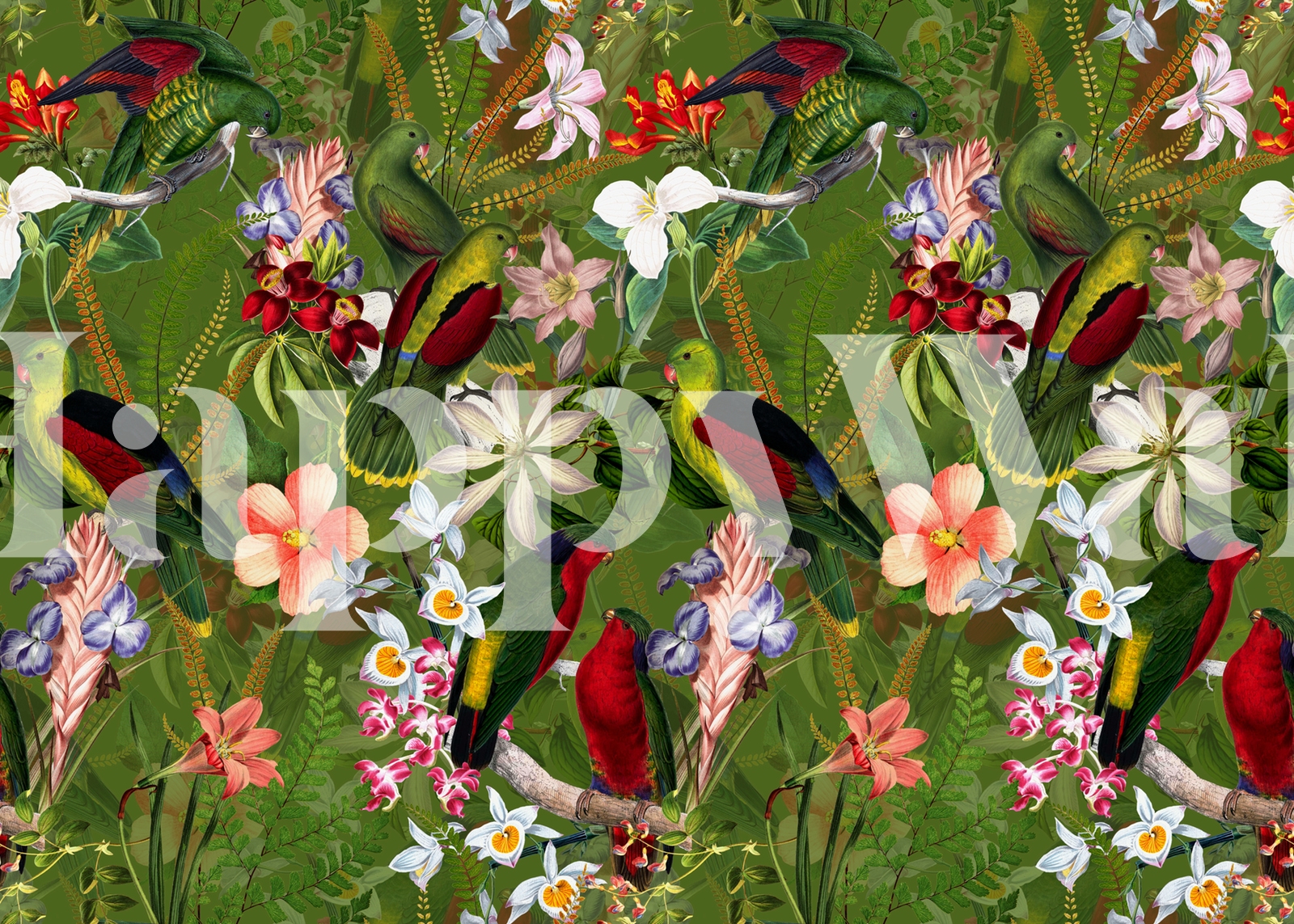 Vintage Parrot Jungle 5 Wallpaper - Buy Online | Happywall