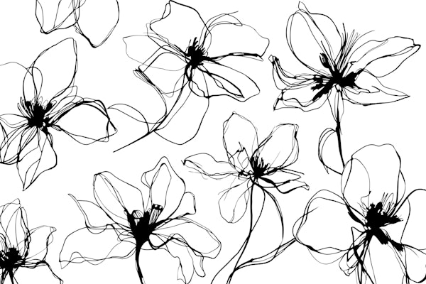 Loose Flower Study Black And White