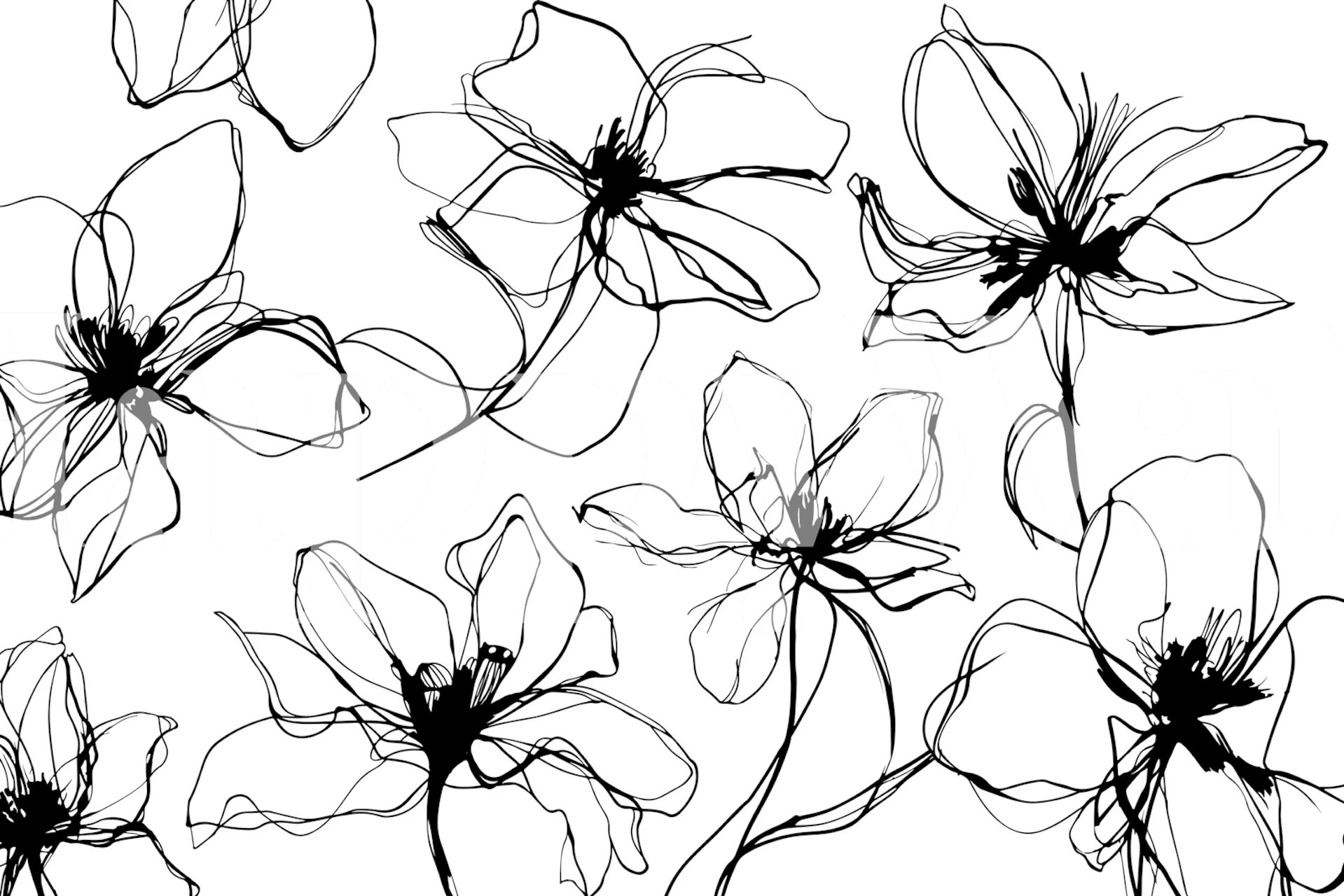 Skissestil svart og hvitt blomstermønster veggmaleri fra happywall.com