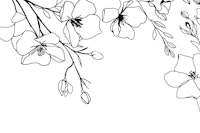 Flower Line Art Black And White wallpaper
