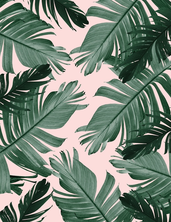 Tropical Banana Leaves 2b