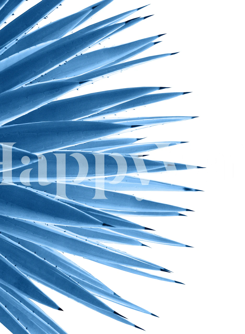 Blue agave leaves on a white background wallpaper
