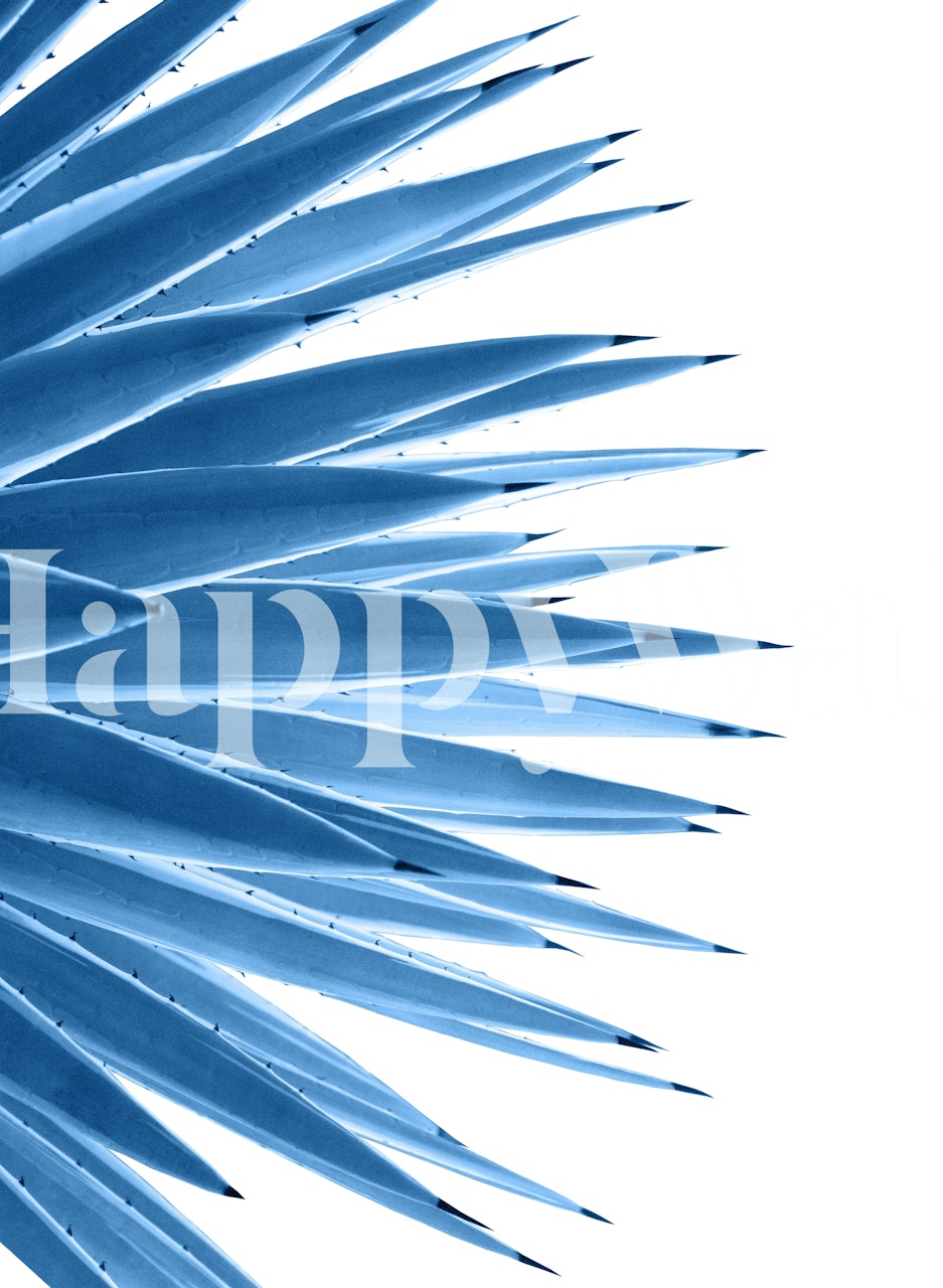 Blue agave leaves on a white background wallpaper