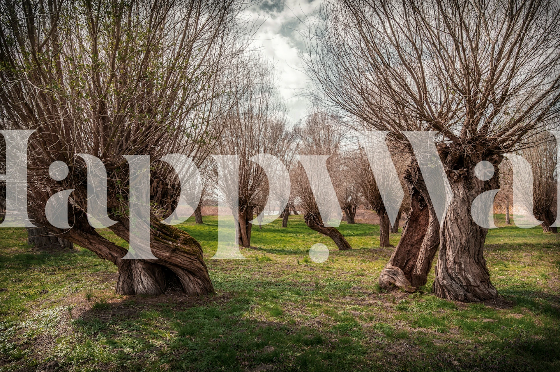 Carta da parati Spring Fairy Trees in una stanza