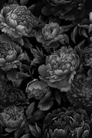 Moody Baroque Velveteen Flowers Grey ταπετσαρία