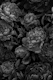 Moody Baroque Velveteen Flowers Grey