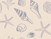 Seashells Ocean Nautical Coastal Blue Ivory tapety