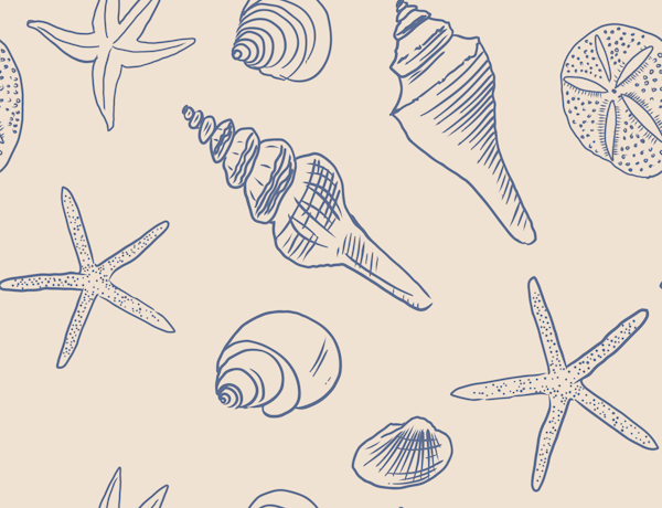 Seashells Ocean Nautical Coastal Blue Ivory