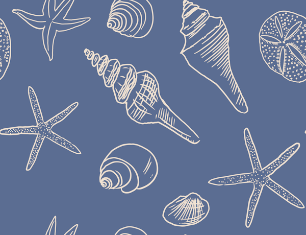Seashells Ocean Nautical Coastal Blue