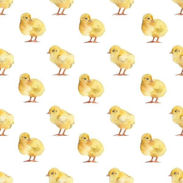 Nursery - Spring Meadow with Baby Chicks