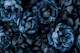 Midnight Garden Baroque Blooms
