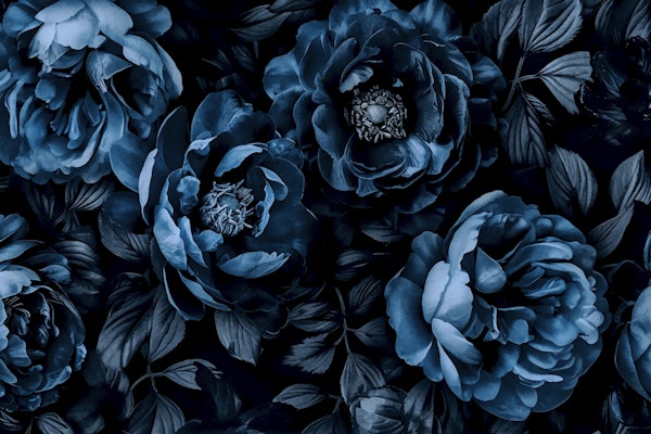 Midnight Garden Baroque Blooms