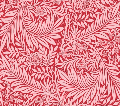 Vzor
