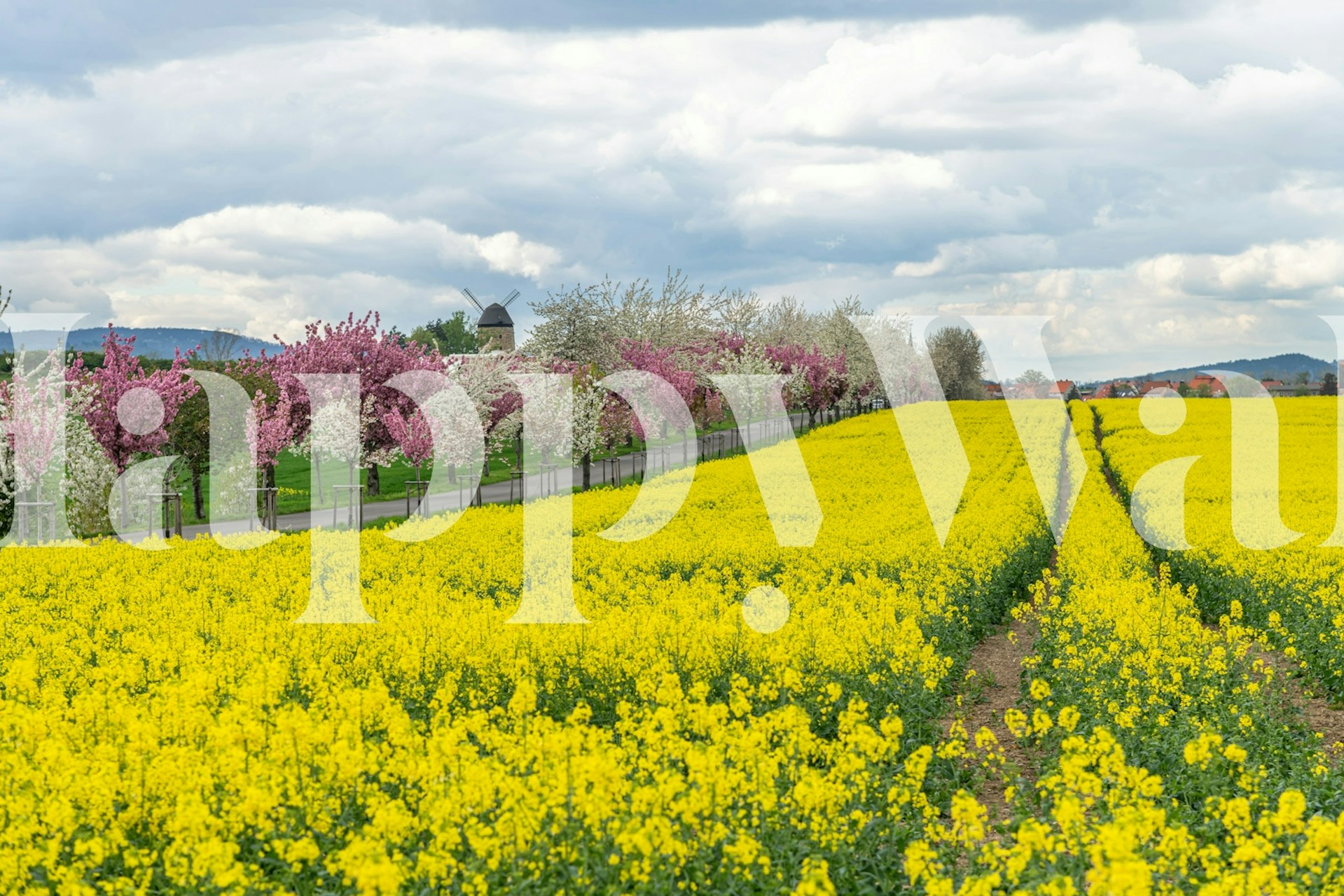 Zidna obloga Springtime Landscape u sobi