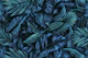 Blue Midnight Jungle Tropical Escape