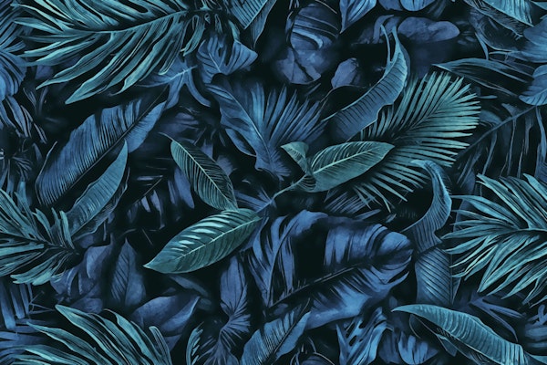 Blue Midnight Jungle Tropical Escape